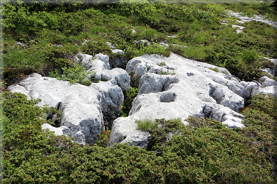 foto Panorama dal Monte Verena